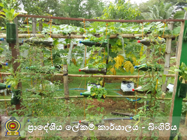 அலுவலக தோட்டம்